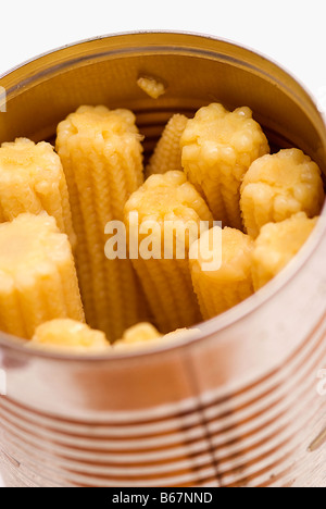 Corn cobs in a container Stock Photo