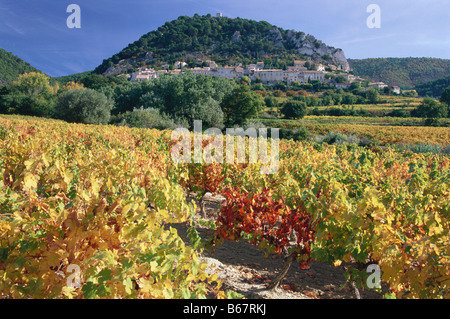 Vineyards with mountain village in the background, Seguret, Dentelles de Montmirail, Provence, France Stock Photo