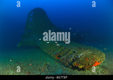 Heavy Bomber Wreck Boing B 17 Flying Fortress Vis Island Mediterranean Sea Croatia Stock Photo