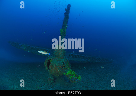 Heavy Bomber Wreck Boing B 17 Flying Fortress Vis Island Mediterranean Sea Croatia Stock Photo