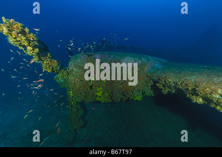 Heavy Bomber Wreck Boing B 17 Flying Fortress Vis Island Mediterranean Sea Croatia Stock Photo