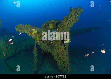 Heavy Bomber Wreck Boing B 17 Flying Fortress Vis Island Mediterranean Sea Croatia Stock Photo