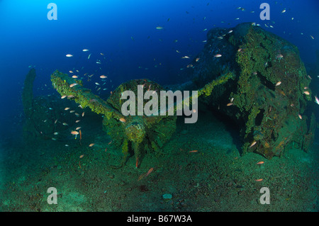 Heavy Bomber Wreck Boing B 17 Flying Fortress Vis Island Mediterranean Sea Croatia Stock Photo