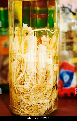 Close-up of ginseng in a bottle, Tai'an, Shandong Province, China Stock Photo