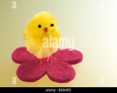 Yellow Easter Chick Stock Photo