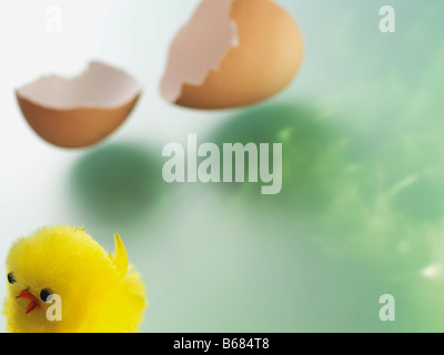 Easter Chick With Broken Eggshell Stock Photo