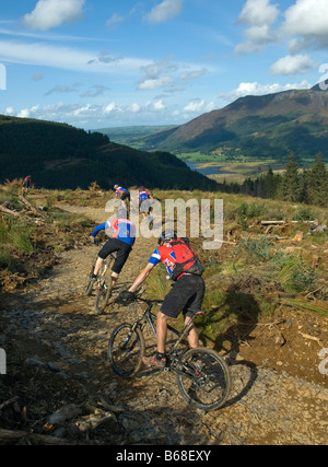 whinlatter mtb trails