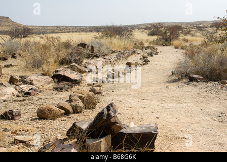 A petrified tree at the petrified forest Damarland Namibia Stock Photo