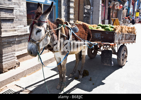 Donkey cart in a street, HohHot, Inner Mongolia, China Stock Photo