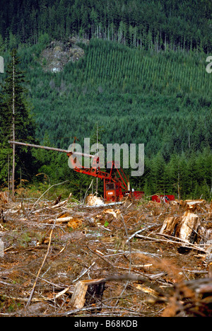 Active Logging and Reforestation on Vancouver Island, BC, British Columbia, Canada Stock Photo