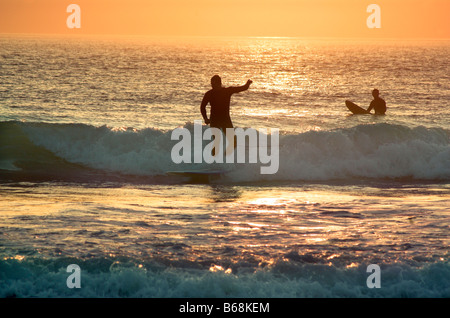 Ano Nuevo Surfing