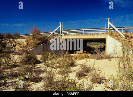Road underpass for Iberian Lynx Coto de Donana National Park Spain Stock Photo