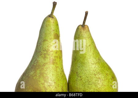 A pair of Conference Pears Stock Photo