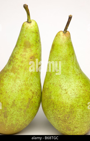 A pair of Conference Pears Stock Photo