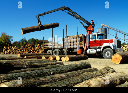 Log truck unloading freshly cut logs at Kane Hardwoods producers of top grade hardwoods Kane McKean County Pennsylvania USA Stock Photo