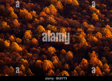 FALL COLORS ON KITTATINNY MOUNTAIN VIEWED SOUTH FROM RT 611 NEAR STROUDSBURG, POCONO MOUNTAINS, PENNSYLVANIA, USA Stock Photo