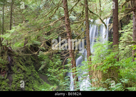 USA Alaska Misty Fjords National Monument River flows down waterfall through rainforest along Rudyerd Bay at Punchbowl Cove Stock Photo