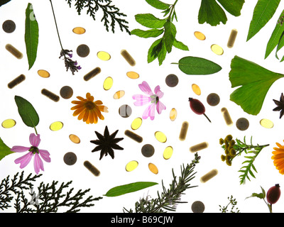 Medicinal plants still life Stock Photo