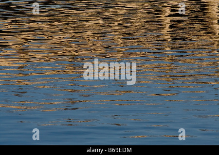 Water with reflections Stock Photo