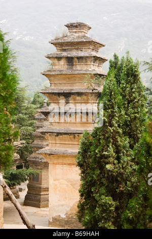 Pagodas in a forest, Pagoda Forest, Shaolin Monastery, Henan Province, China Stock Photo