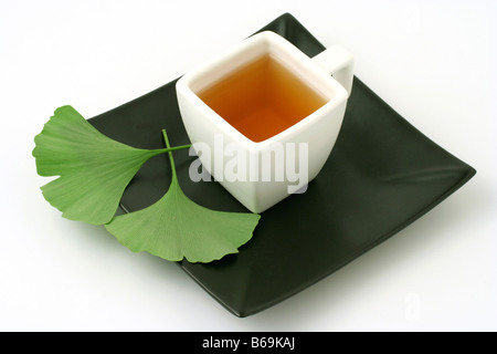 Ginkgo infusion Ginkgo biloba Stock Photo