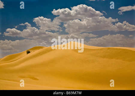 Sand dunes in a desert, Kubuqi Desert, Inner Mongolia, China Stock Photo