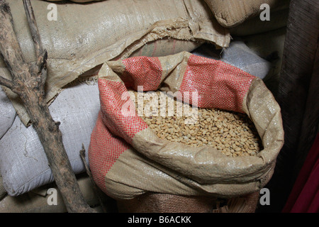 Coffee beans in a rustic bag, Costa Rica coffee plantation Stock Photo
