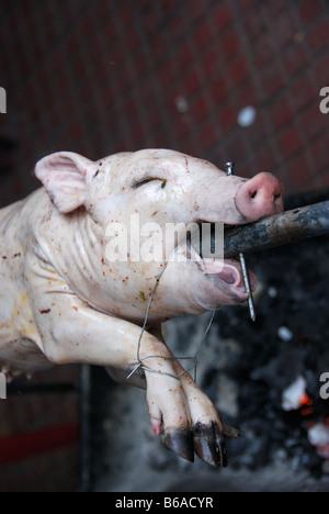 Suckling pig on spit with nail through its nose Stock Photo