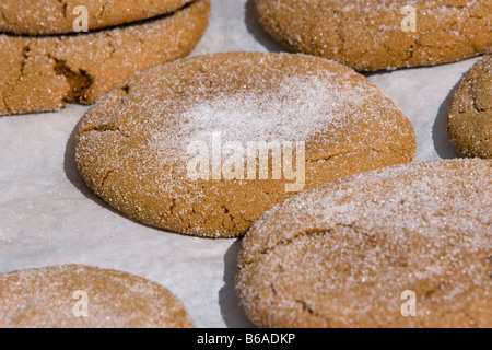 Sugared gingersnap cookies. Stock Photo