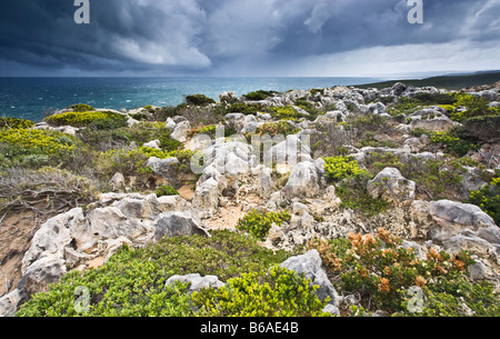 Limestone cliff tops of D'Entrecasteaux National Park in south west Western Australia Stock Photo