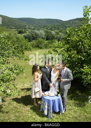 Wedding couple cutting cake in garden Stock Photo