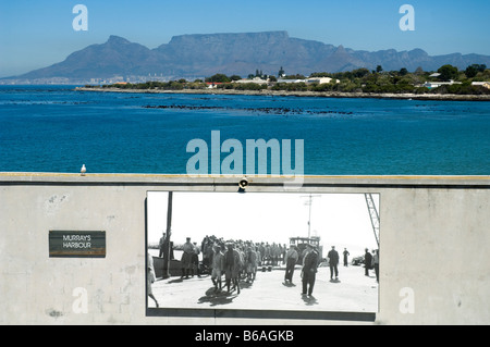 Historical photograph of prisoners arriving on Robben Island Cape Town South Africa Table Mountain in the background Stock Photo