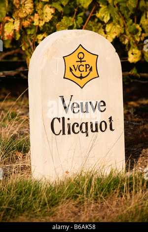 65 Veuve Clicquot Vineyard Stock Photos, High-Res Pictures, and
