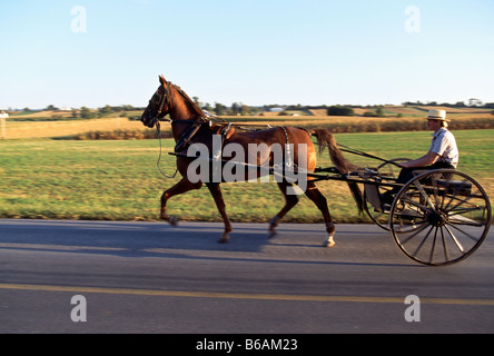 Amish horse drawn buggy on a rural road, Lancaster County, Pennsylvania, USA Stock Photo