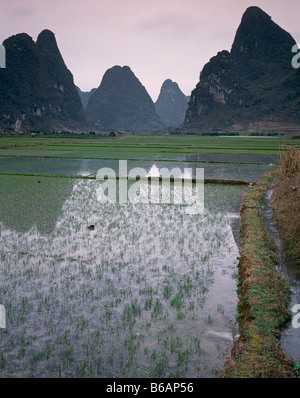 vertifalCHINA - Farm fields near Yangshuo along the Li River. Stock Photo