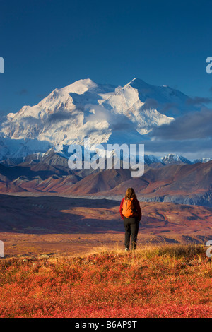 A hiker enjoying the view of Mt McKinley Denali National Park Alaska model released Stock Photo