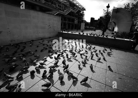 Pigeons on the pavement at the Centre Pompidou art museum in Paris, France Stock Photo