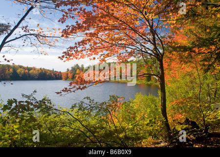 MICHIGAN - Fall color along the shore of Mirror Lake in Porcupine Stock ...