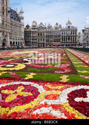 flower carpet on Grand Place Brussels, Brabant, Belgium, EUROPE Stock Photo