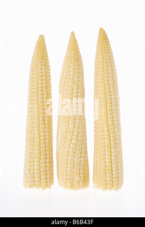 BABY CORN ON A WHITE BACKGROUND Stock Photo
