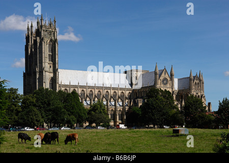 Beverley Minster founded in 8th century built mainly 13th 14th centuries sculptures East Riding of Yorkshire UK Great Britain Stock Photo