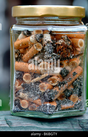 Close-up of jar of cigarette butts Stock Photo