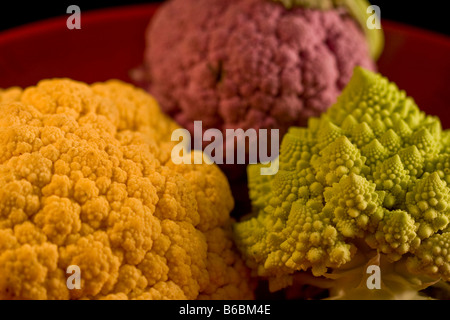 Three types of cauliflower, Italian Romanesco Purple and White Stock Photo