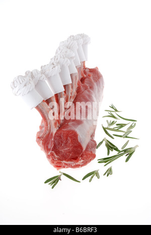 HANDCUT LEAN RACK OF WELSH LAMB AND ROSEMARY ON A WHITE BACKGROUND Stock Photo