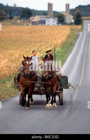 Amish children drive a horse drawn farm cart on a rural road, Lancaster County, Pennsylvania, USA Stock Photo