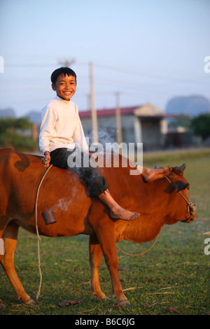 Vietnamese boy riding a cow on a road Stock Photo - Alamy