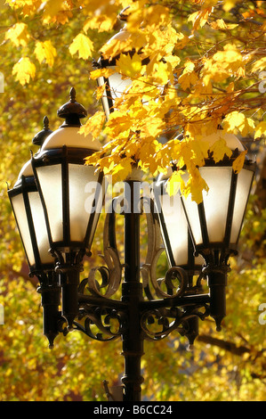 Traditional street lights with colourful Autumn leaves in Montreal, Quebec, Canada. Stock Photo