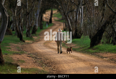 Man walking dog along country road Australia Stock Photo