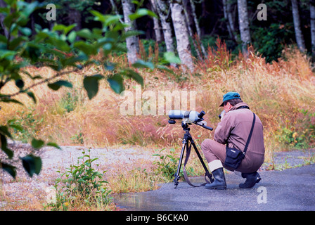 Birdwatcher bird watching with a Telescope in Pacific Rim National Park Reserve, Vancouver Island, BC, British Columbia, Canada Stock Photo