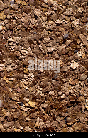 Placer Gold Nuggets and Flakes mined near Dease Lake, Northern British Columbia, Canada Stock Photo